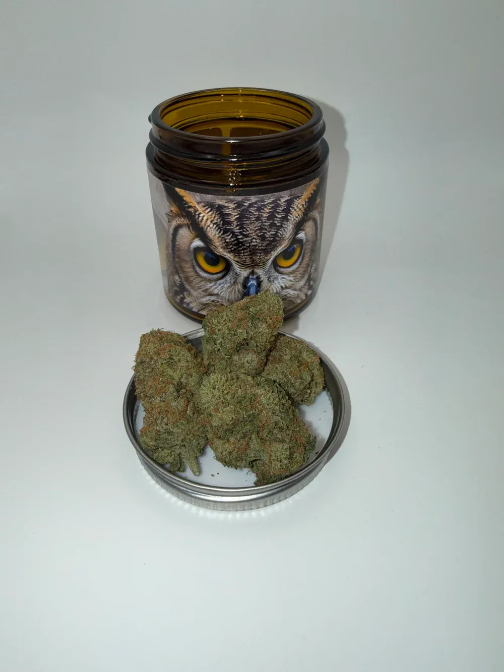 Owlz